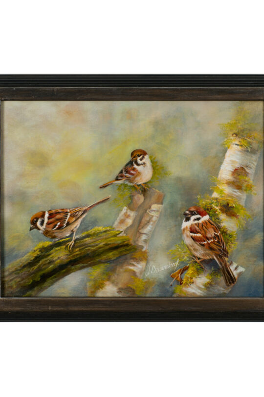 The Three Sparrows | Size 40 x 50 cm